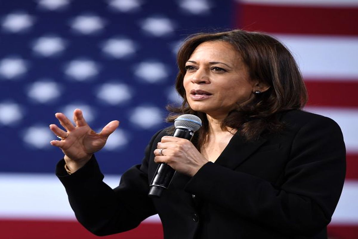 هاریس کاملیا