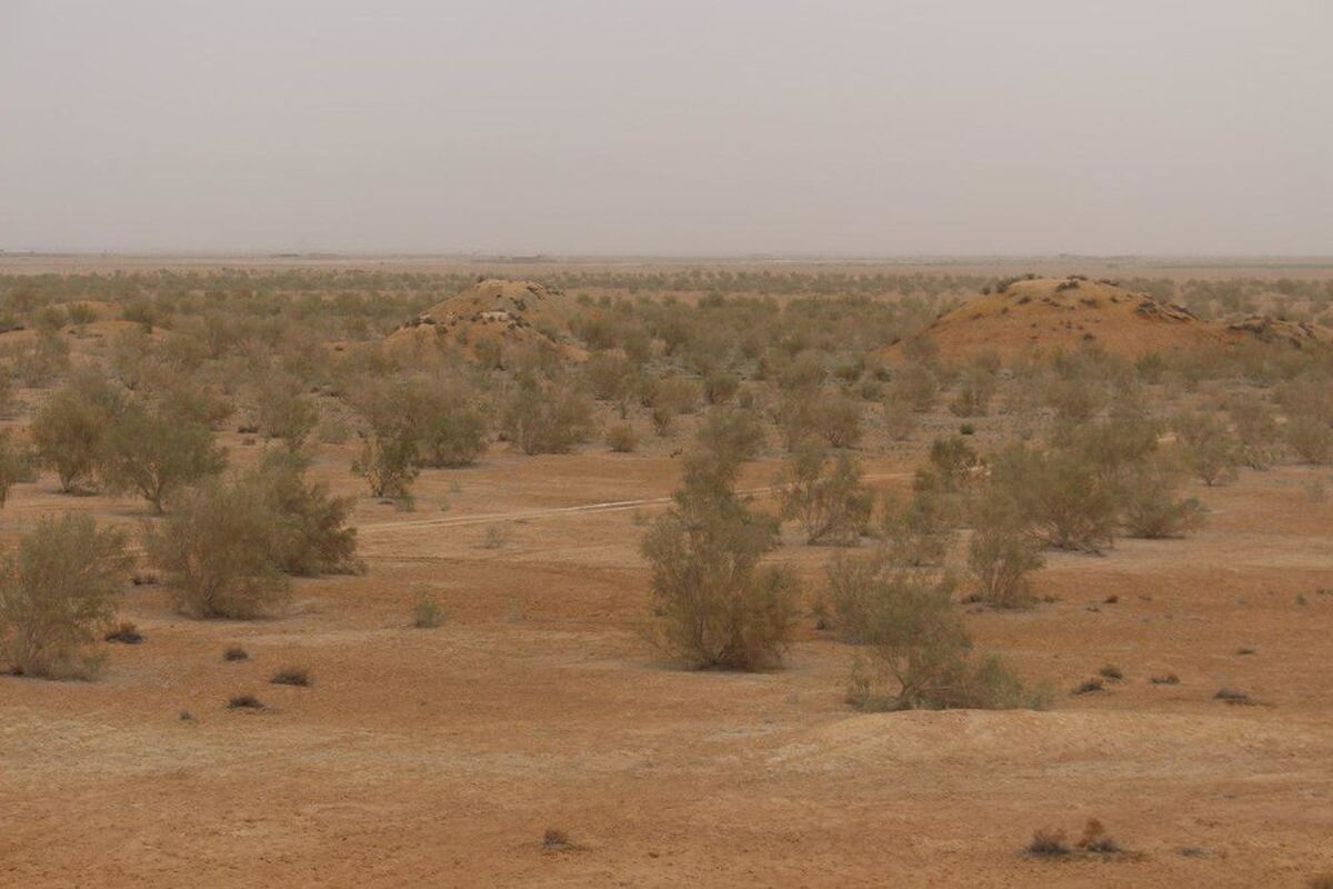 بیابان