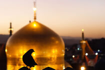 پخش ویژه برنامه کبوترانه به مناسبت ایام سوگواری پایان ماه صفر
