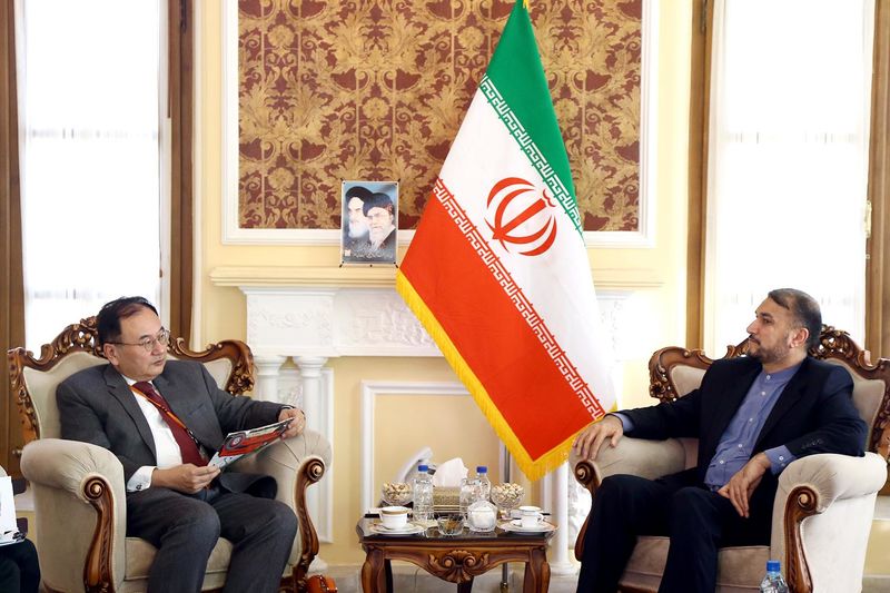 ایران و ژاپن برای گسترش مناسبات فیمابین از ظرفیتهای فراوانی برخوردارند