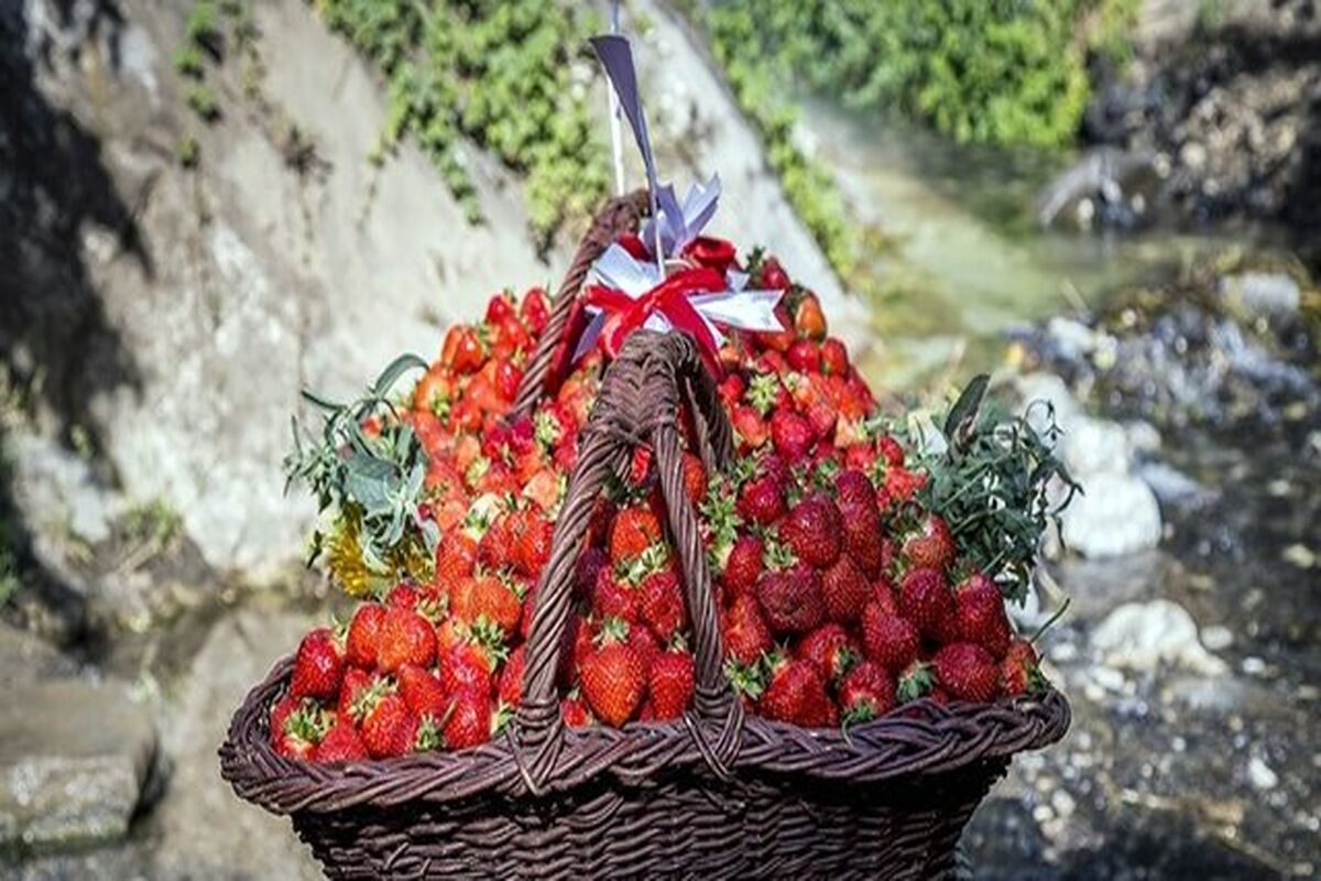 توت فرنگی