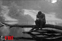 حضور فیلم سینمایی «ما اینجاییم، ما نزدیکیم» در بخش مسابقه جشنواره جهانی فیلم فجر