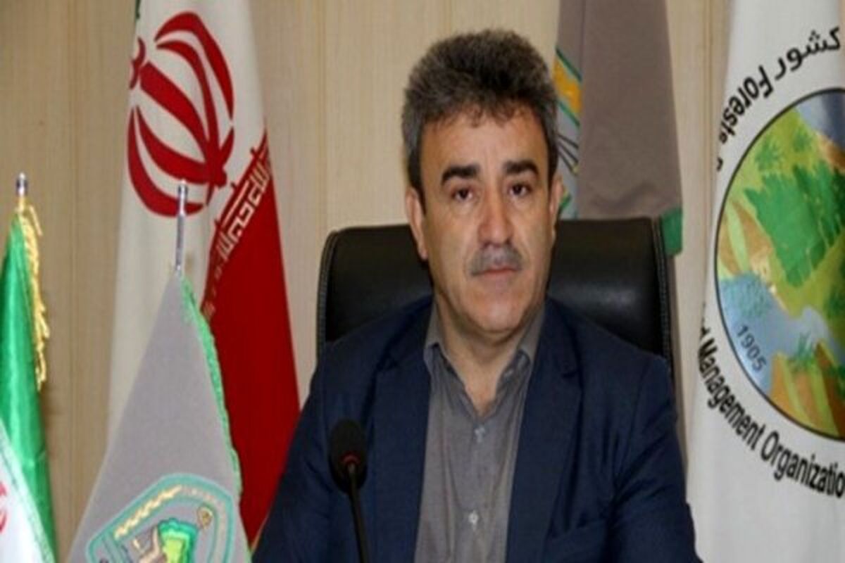 شهامت هدایت