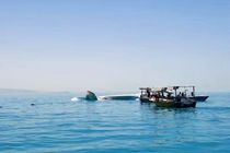سقوط یک فروند هواپیمای آموزشی در آب‌های جزیره قشم/ سرنشینان نجات یافتند