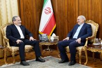 سفیر جمهوری اسلامی ایران در پاکستان با وزیر امور خارجه دیدار کرد