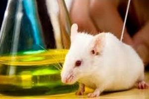 احداث آزمایشگاه حیوانات در علوم پزشکی خراسان شمالی