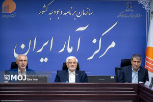 دولت چهاردهم با مرکز آمار ایران دستوری برخورد نمی‌کند