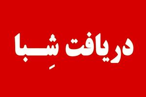 آسان ترین روش دریافت شماره شبا تمامی بانک های کشور/ دریافت شماره شبا فقط با یک کلیک