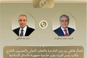 وزیران خارجه مصر و پاکستان درباره راه‌های کاهش تنش در منطقه گفتگو کردند