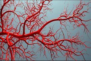 عرضه جایگزین‌های عروقی با قابلیت عدم لخته‌زایی در کشور