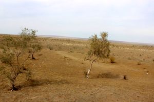 نقش مؤثر اقدامات بیابان‌زدایی در محرومیت‌زدایی