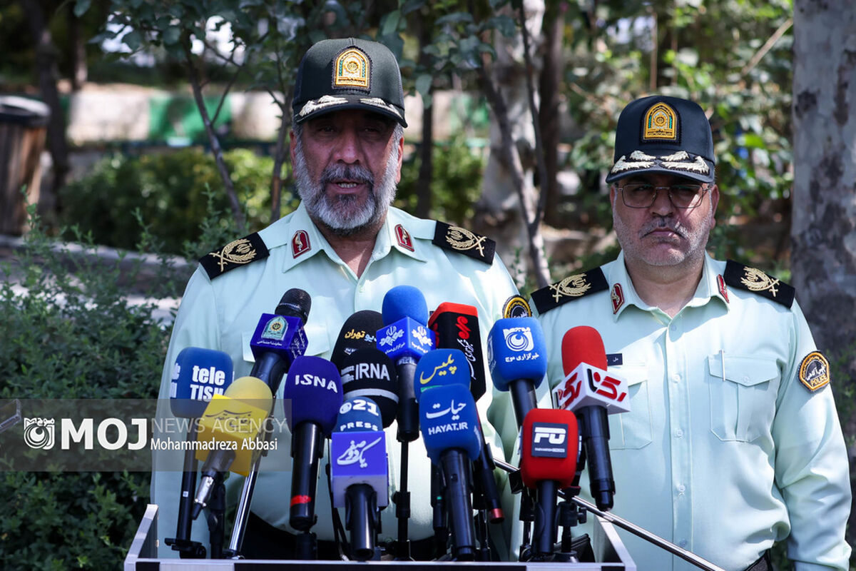 دستگیری سارقان معروف استاد معین