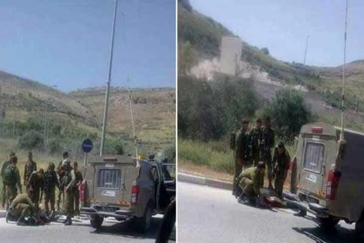 صهیونیست ها