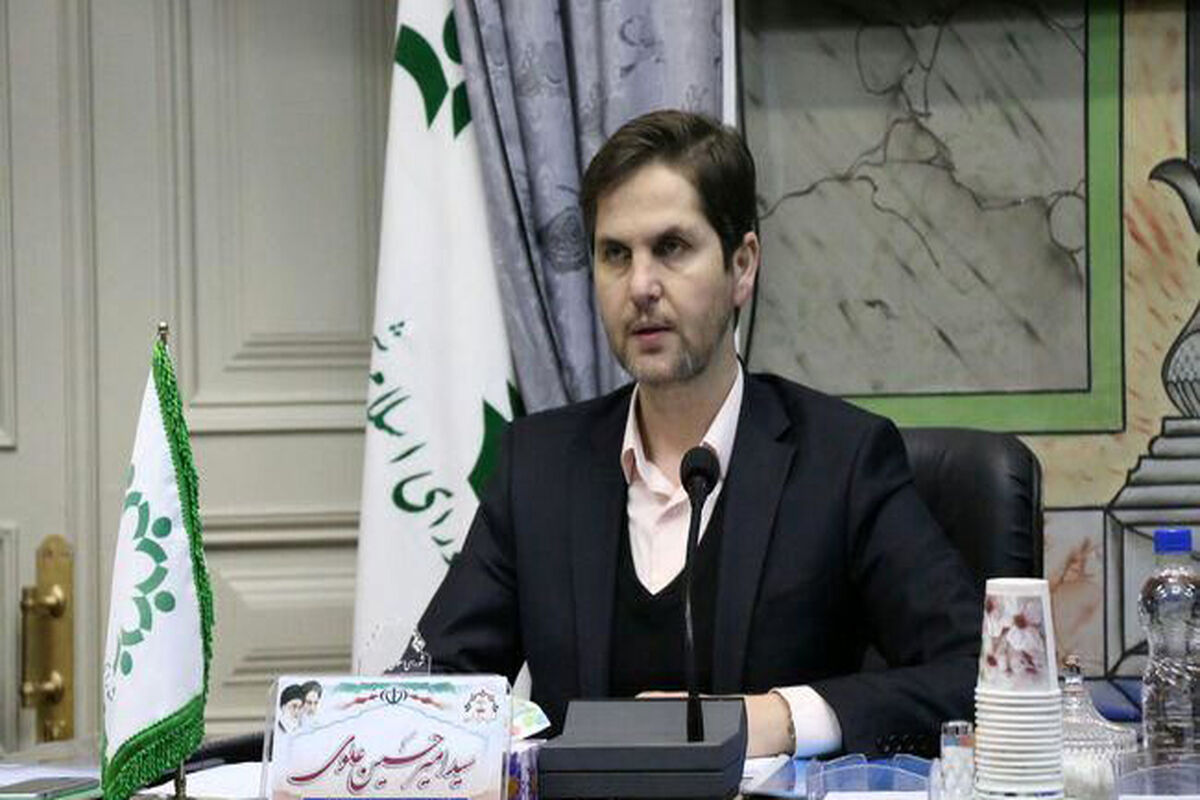 امیر حسین علوی