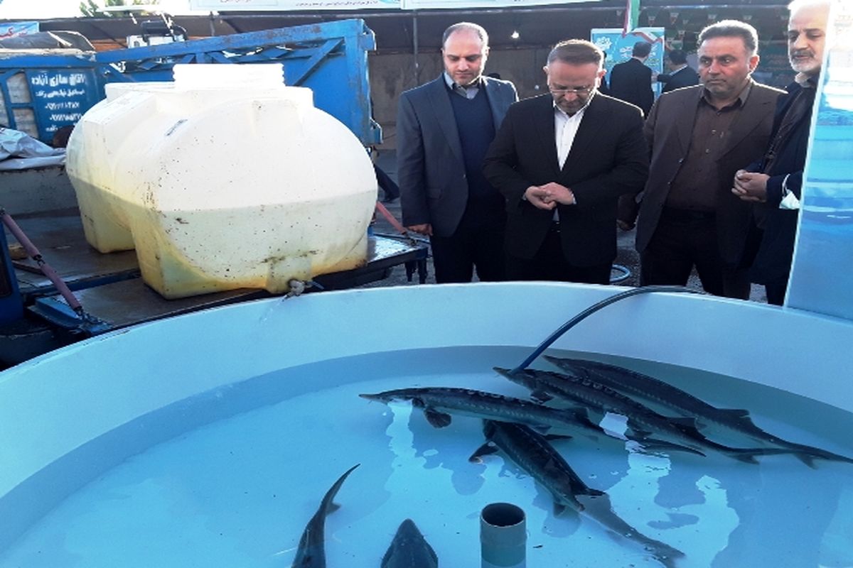 کریم زاده مدیرکل شیلات مازندران