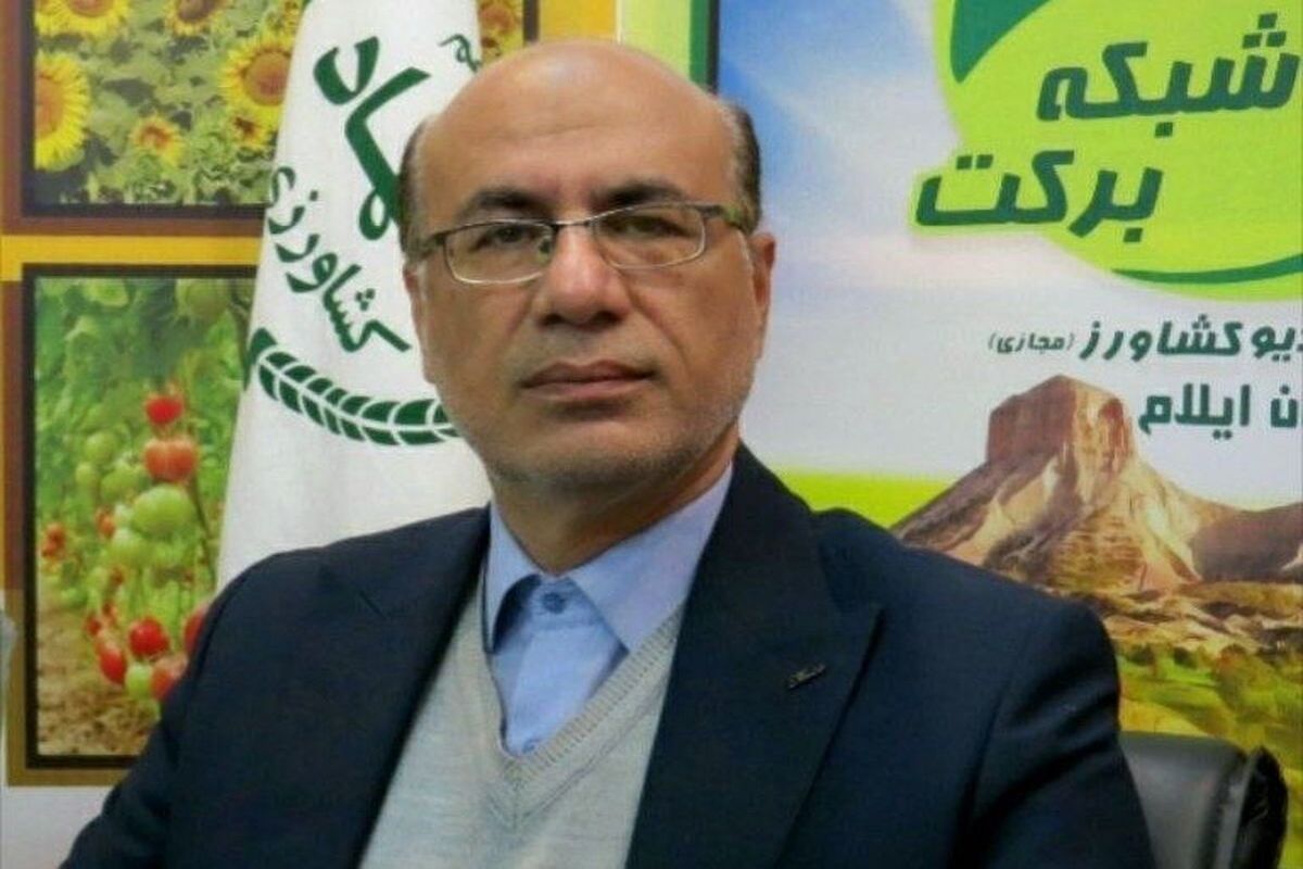 عموزاده