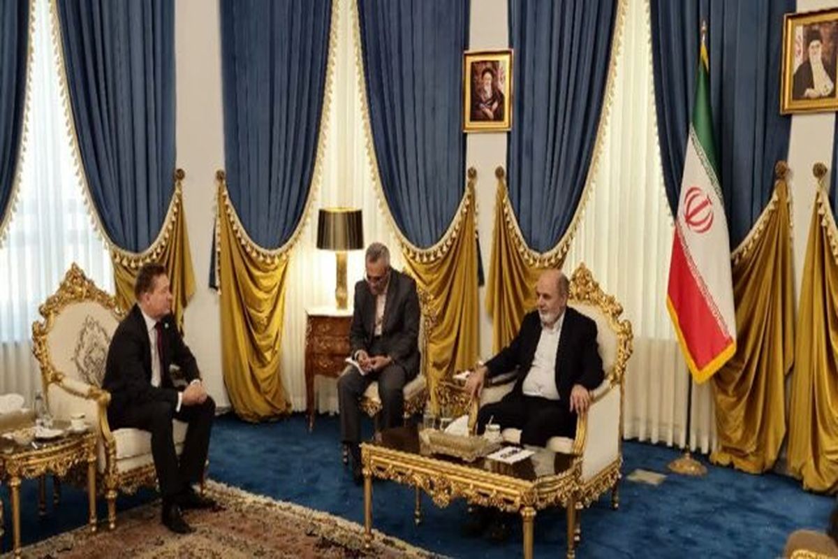 شورای عالی امنیت ملی