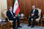 سفرای ایران در ایتالیا، فرانسه و انگلیس با عراقچی رایزنی کردند
