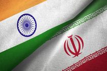 مجلس اعلای هند به شهید رئیسی و امیرعبداللهیان ادای احترام کرد