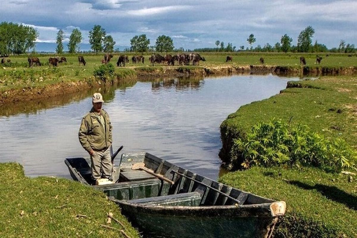 یگان حفاظت محیط زیست
