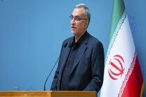 توریسم درمانی ظرفیت خوبی برای کشور است