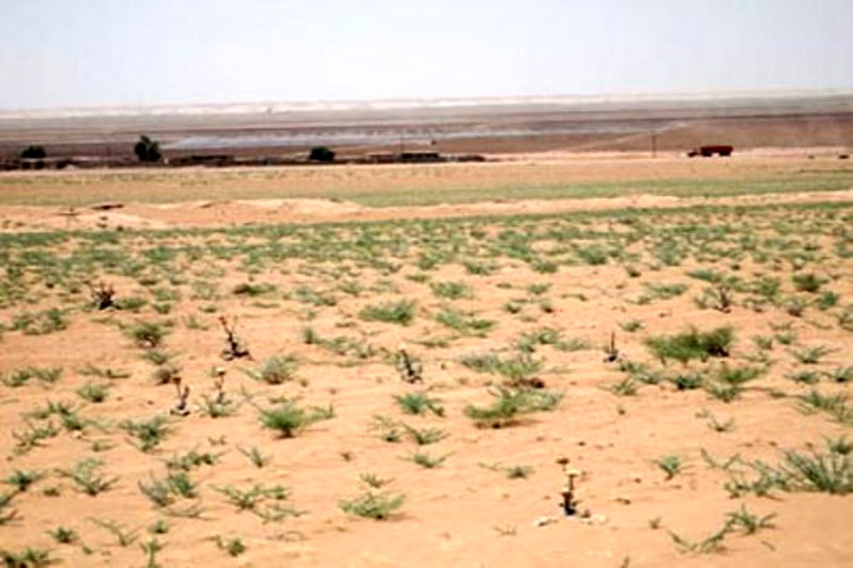 منابع طبیعی یزد