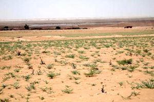 کارشناسان اداره منابع طبیعی ابرکوه در تعطیلات نوروز آمادگی پاسخگویی به مسافران هستند