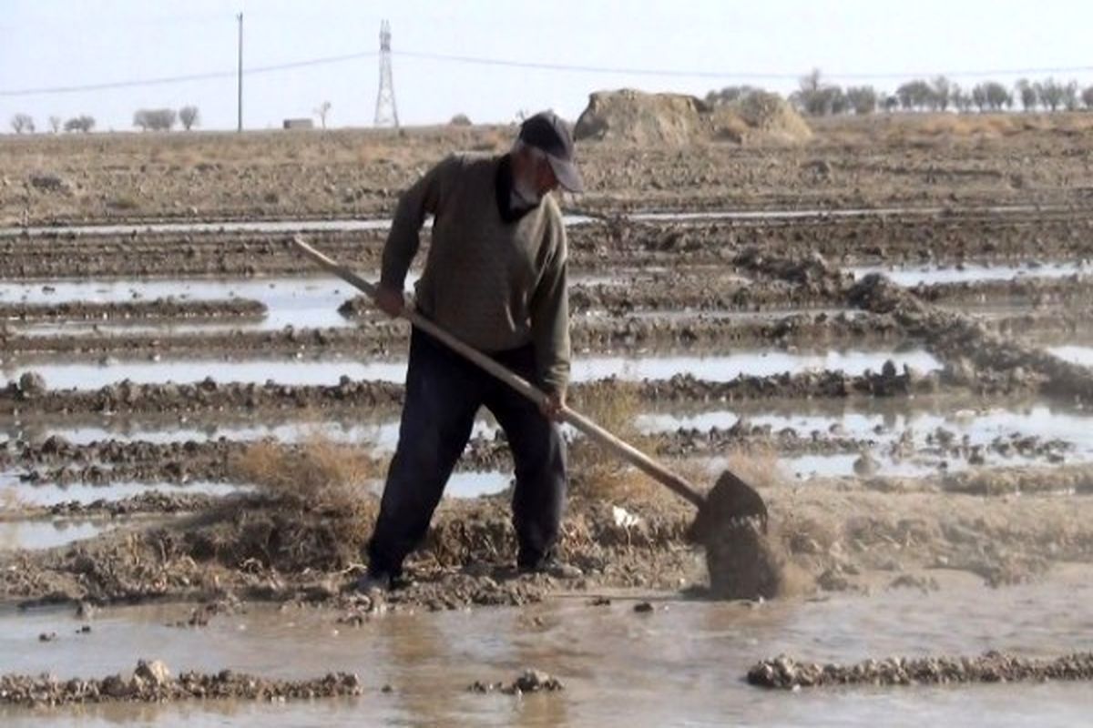 کشاورزان شرق اصفهان