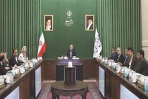 حذف مشوق‌های مالیاتی تبدیل به تنبیه مالیاتی یا بی‌عدالتی مالیاتی خواهد شد
