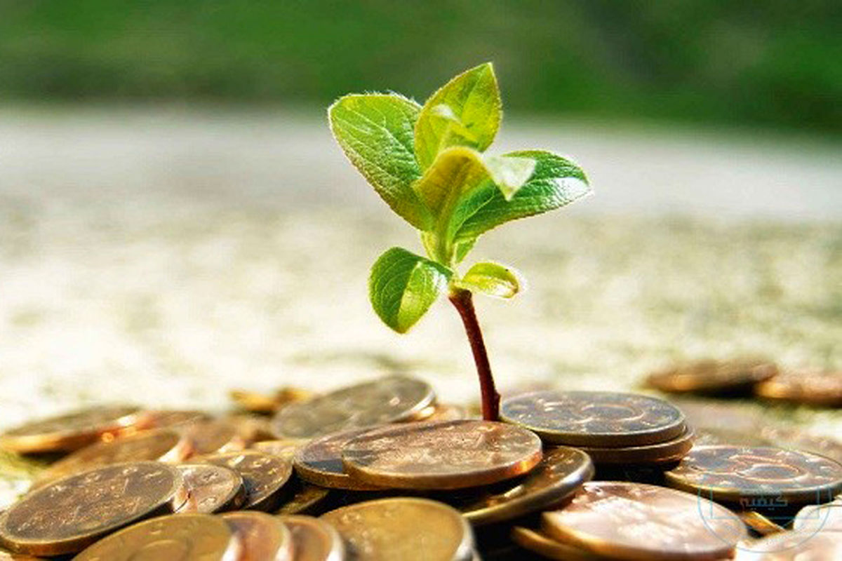 مدیرکل کمیته امداد گیلان 