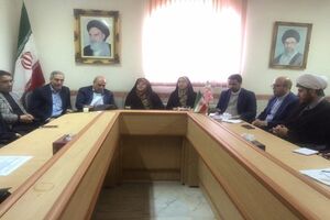 برای هر استان سند ارتقای وضعیت زنان تنظیم می‌شود/ 42 درصد تسهیلات اشتغال‌زایی کشور مختص به بانوان است