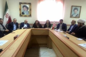 برای هر استان سند ارتقای وضعیت زنان تنظیم می‌شود/ 42 درصد تسهیلات اشتغال‌زایی کشور مختص به بانوان است