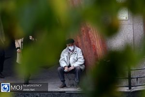 روزانه ۱۵ نفر در تهران به دلیل آلودگی هوا جان خود را از دست می‌دهند