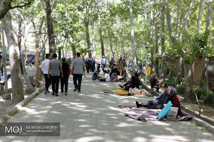 پیش بینی برای بارش رگباری در تهران نداریم