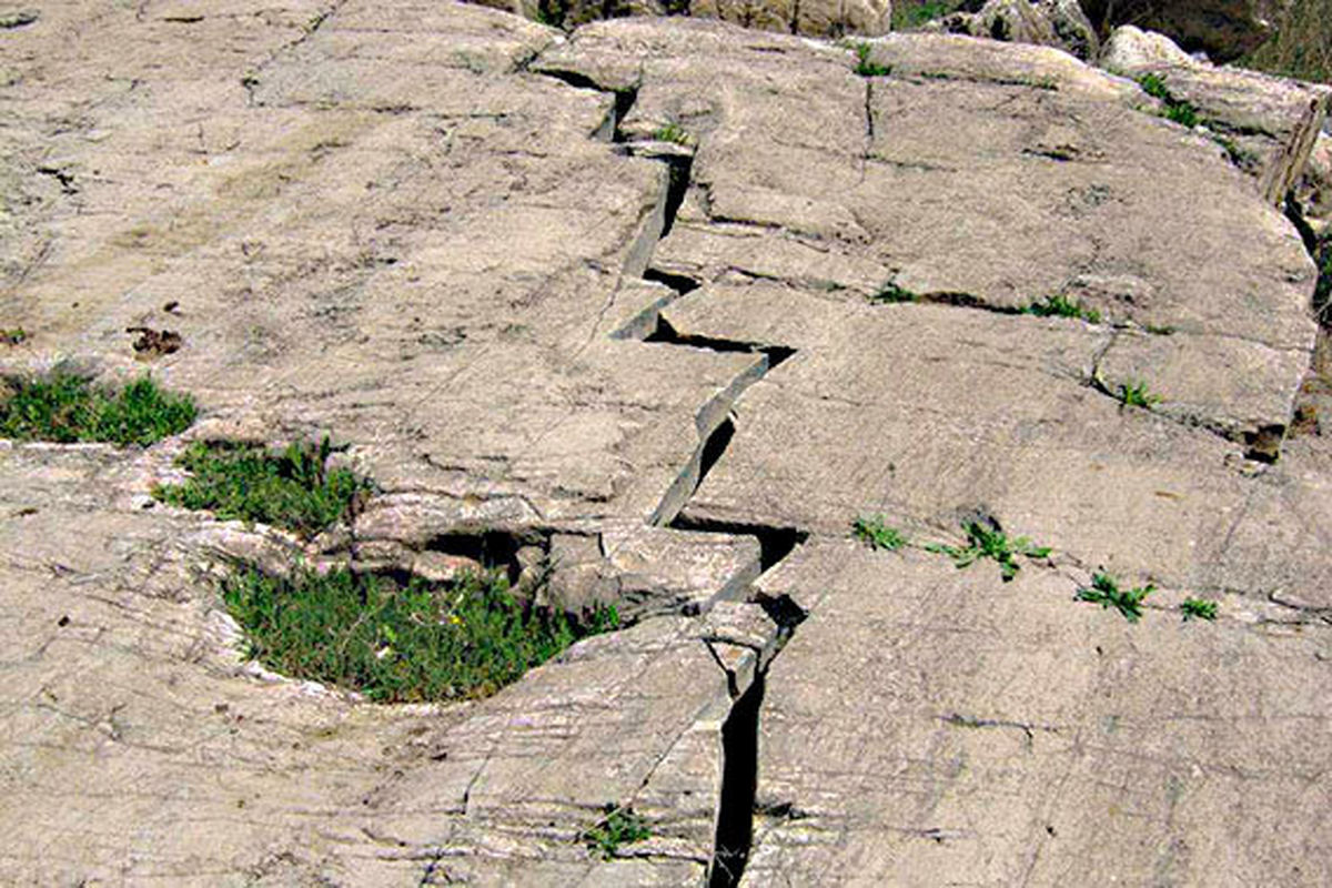 حرکت گسل‌ها 