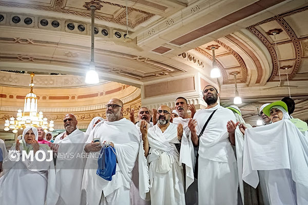 ۳۵ درصد حجاج به کشور بازگشته‌اند