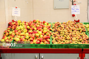 قیمت میوه شب عید نباید بالا برود