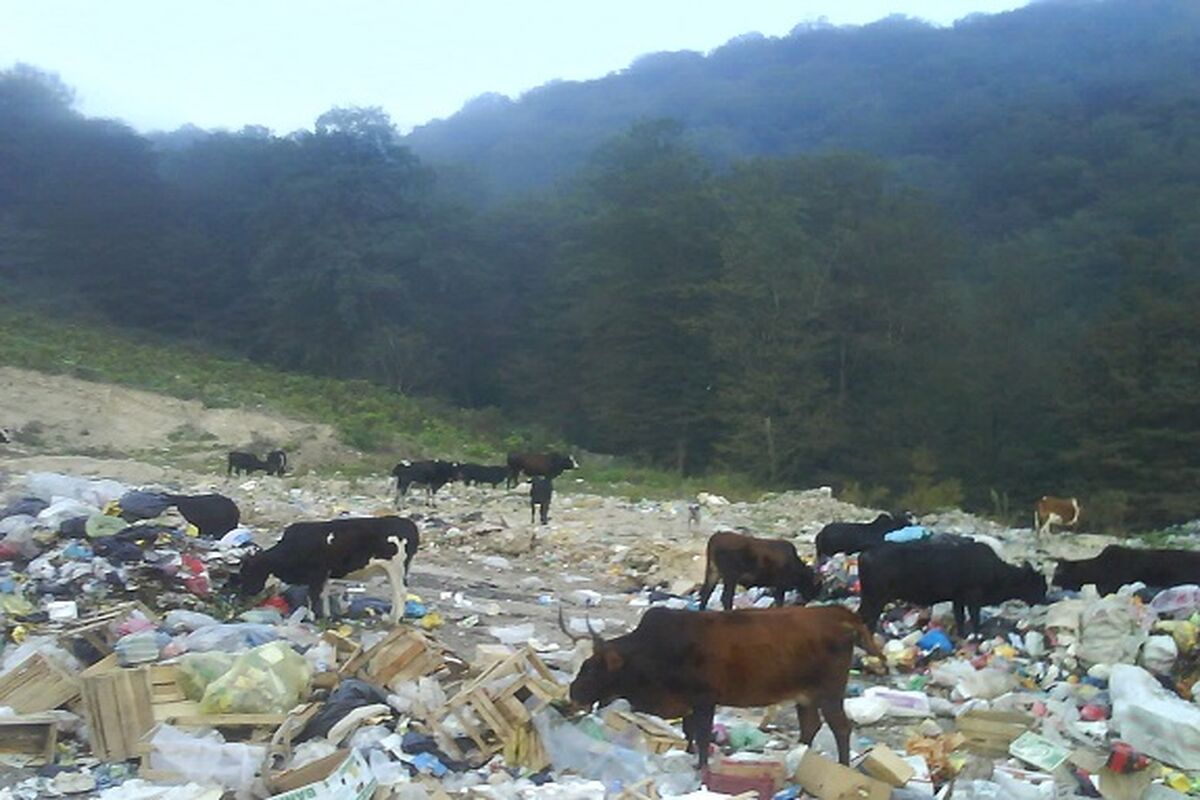 آلودگی