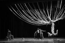 تئاتر «در انتظار گودو» پس از تور تابستانی به تهران بازمی‌گردد