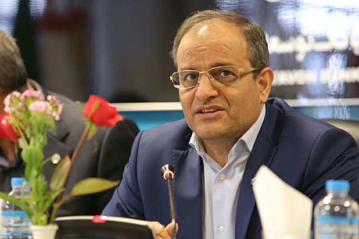 مدیرعامل بانک توسعه تعاون