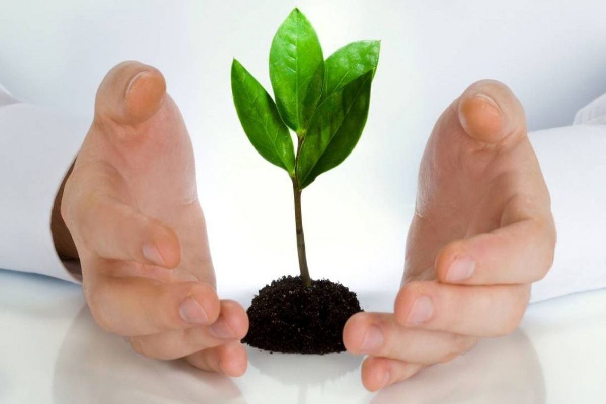 بیمه عمر و زندگی