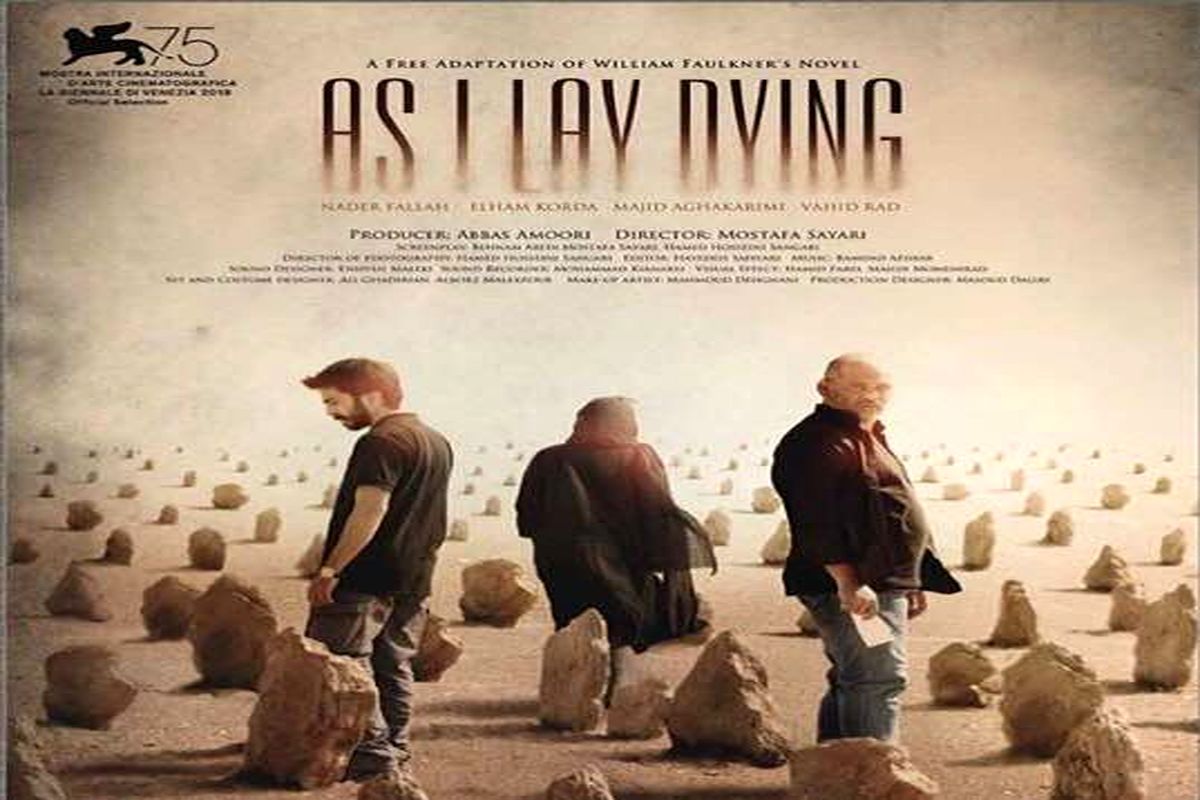 همچنان که میمردم