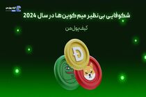 رونق بی‌سابقه میم‌کوین‌ها در سال 2024
