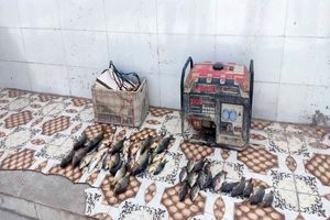 متخلف صید ماهی با استفاده از الکتروشوکر در شهرستان حمیدیه دستگیر شد