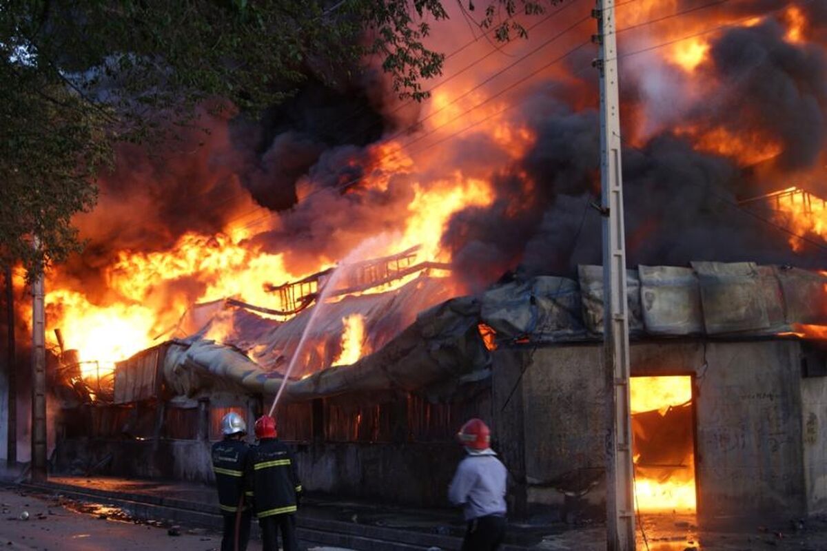 فدائیان