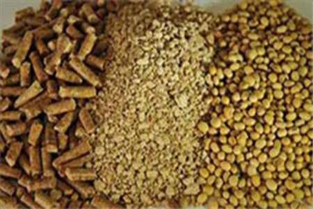 اصفهان- سویای تقلبی