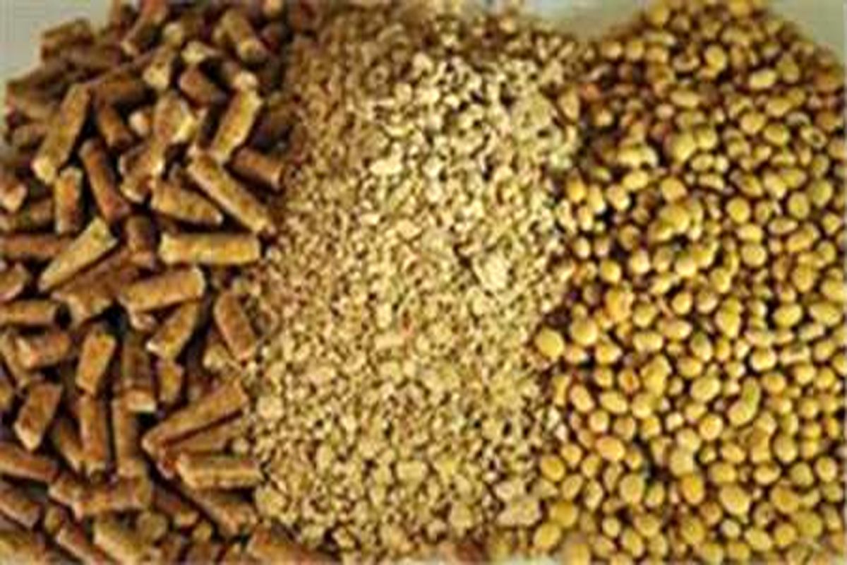 اصفهان- سویای تقلبی