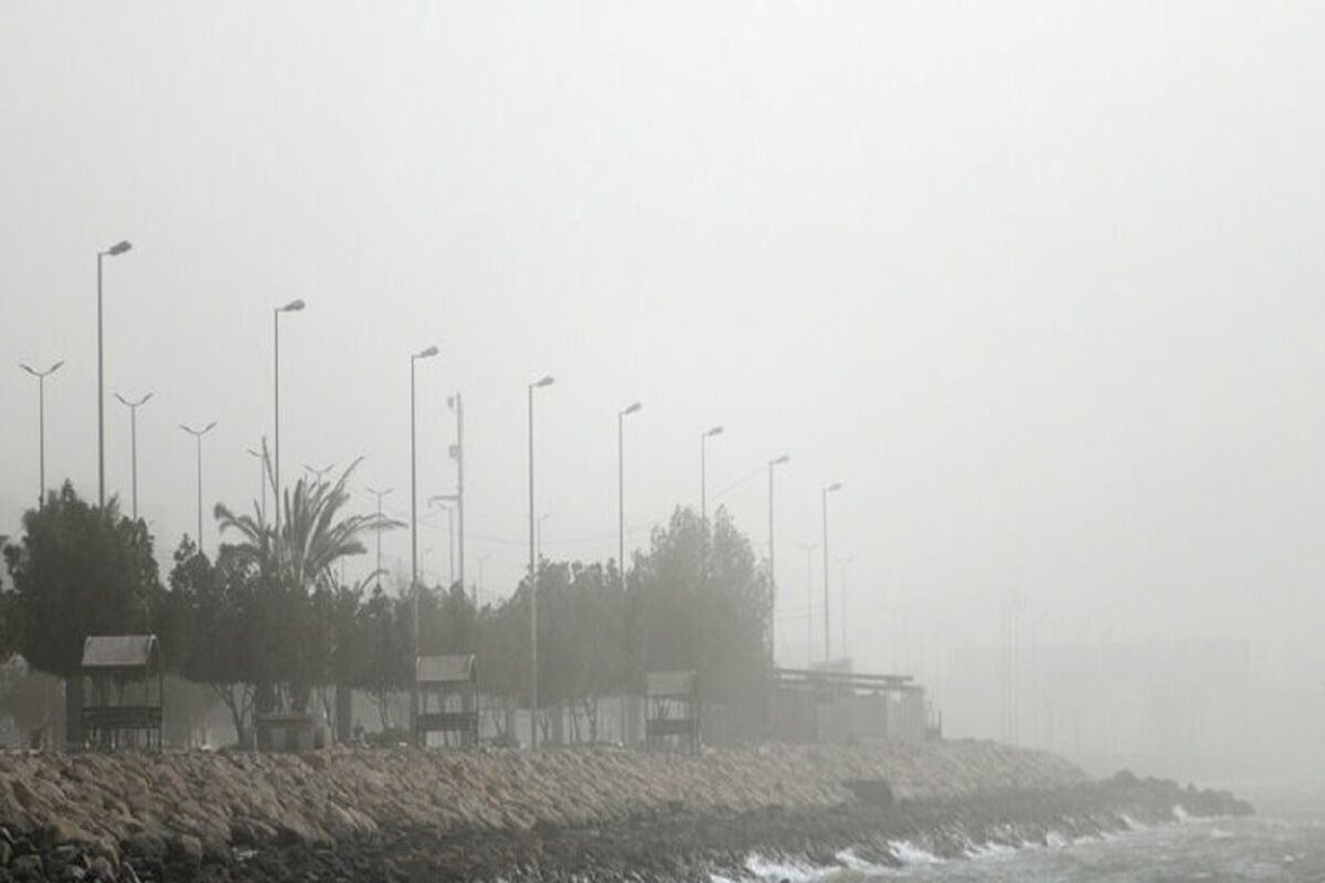مه صبحگاهی