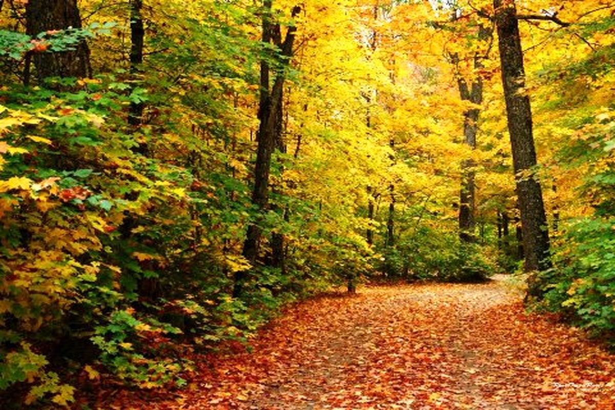 دمای هوای گیلان