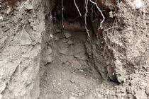 دستگیری 4 حفار غیرمجاز در سوادکوه مازندران